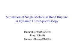 Simulation of Molecular Bonds Rupture in Dynamic Force