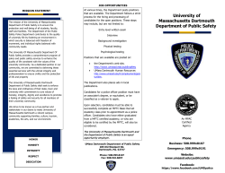 Business brochure (Level design)