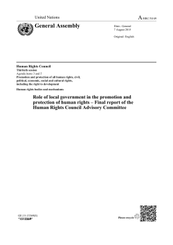 Role of local government in the promotion and protection