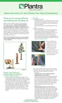 Basic Instructions for Your Plantra Tree Tubes