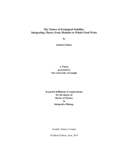 The Nature of Ecological Stability: Integrating Theory