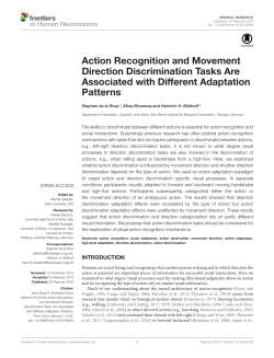 Action Recognition and Movement Direction Discrimination Tasks