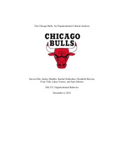 The Chicago Bulls - Michigan Community College Association