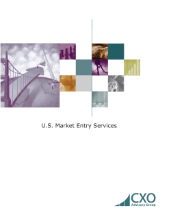 US Market Entry Services