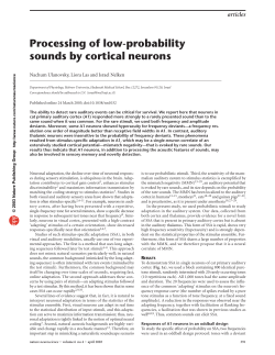 Processing of low-probability sounds by cortical neurons