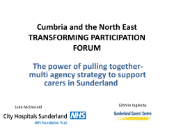 multi agency strategy to support carers in Sunderland