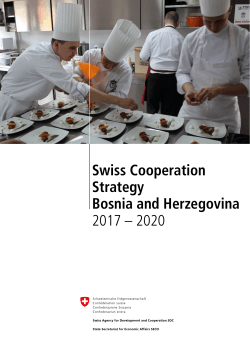 Swiss Cooperation Strategy Bosnia and Herzegovina 2017 &ndash; 2020