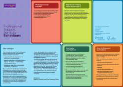 Professional Support Services Behaviours