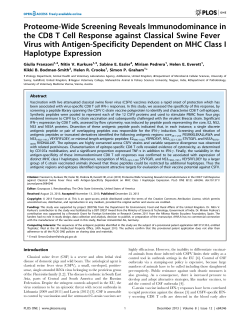 Proteome-Wide Screening Reveals Immunodominance in the CD8 T