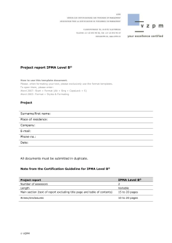 Project report IPMA Level B