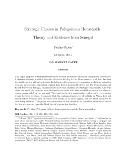 Strategic Choices in Polygamous Households: Theory and Evidence