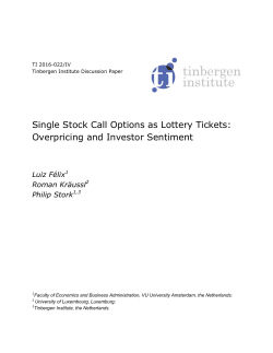 Single Stock Call Options as Lottery Tickets