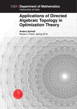Applications of Directed Algebraic Topology in Optimization Theory
