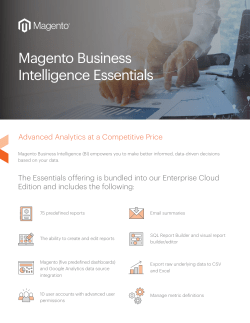 Magento Business Intelligence Essentials