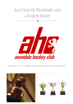 Auction Of Promises - Annadale Hockey Club