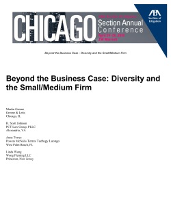 Beyond the Business Case: Diversity and the Small/Medium Firm