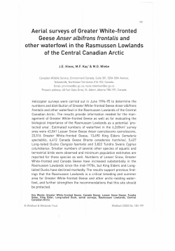 Aerial surveys of Greater White-fronted Geese Anser