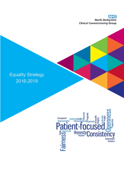 Equality Strategy 2016-2019
