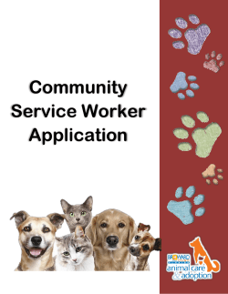 Community Service Worker Application