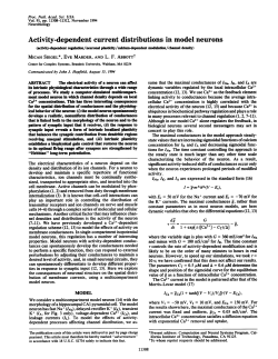 Activity-dependent current distributions in model neurons