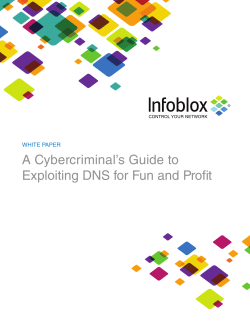 A Cybercriminal`s Guide to Exploiting DNS for Fun and Profit