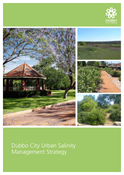 Dubbo City Urban Salinity Management Strategy