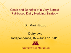 Costs and Benefits of a Very Simple Put