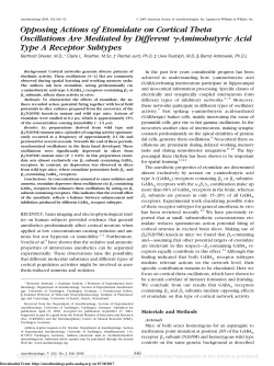 Opposing Actions of Etomidate on Cortical Theta