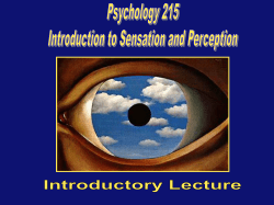 perception - Instructional Web Server