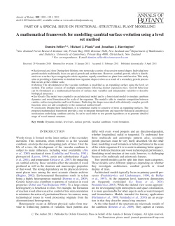 A mathematical framework for modelling cambial
