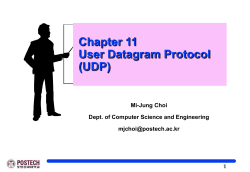User Datagram Protocol (UDP)
