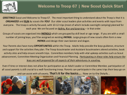 New Scout Start Guide