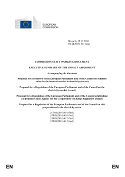 1 EN resume impact assessment