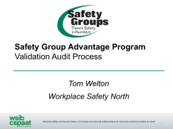 Safety Group Advantage Program Validation Audit Process
