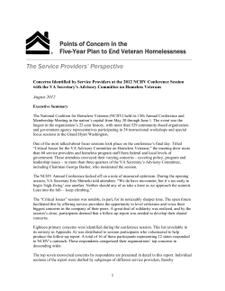 Points of Concern in the Five-Year Plan to End Veteran Homelessness