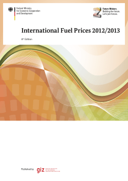 International Fuel Prices 2012/2013