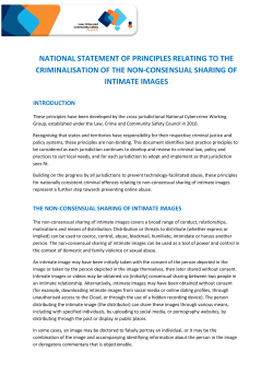 National Statement Of Principles Relating To The Criminalisation Of