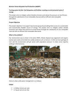 Biomass green briquettes fuel production proposals