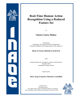 Real-Time Human Action Recognition Using a Reduced Feature Set