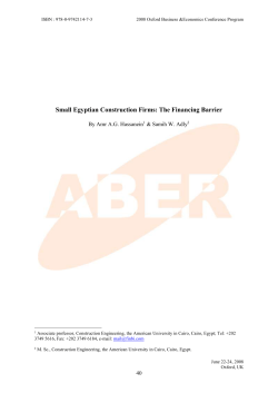 Small Egyptian Construction Firms