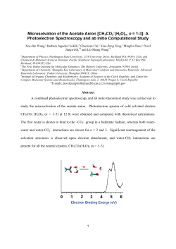 Microsolvation of the Acetate Anion [CH3CO2 &ndash;(H2O)n, n = 1