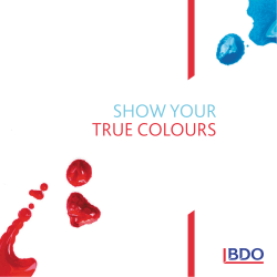show your true colours - BDO School Leaver Programme