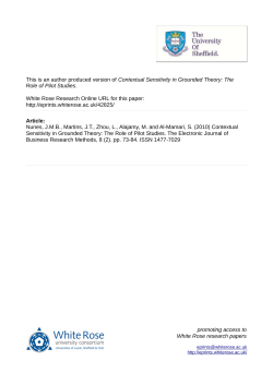 Contextual Sensitivity in Grounded Theory: The Role of Pilot Studies