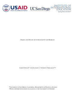 Exploring Online/Offline Social Movements