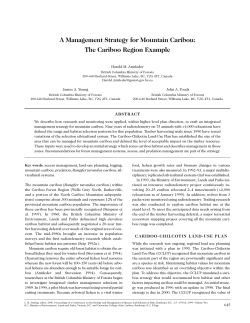 A Management Strategy for Mountain Caribou