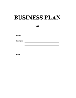 TEAGASC BUSINESS PLAN TEMPLATE