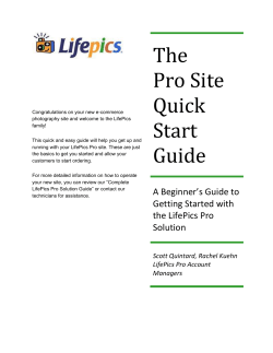 The Pro Site Quick Start Guide A Beginner`s Guide to Getting Started