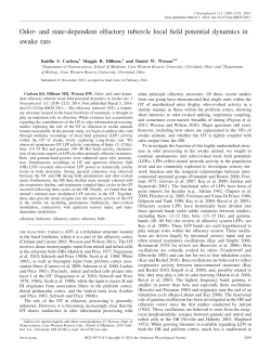 Odor- and state-dependent olfactory tubercle local field potential