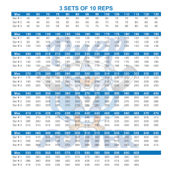 3 SETS OF 10 REPS