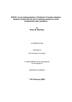 A new implementation of Holland`s Complex Adaptive Systems
